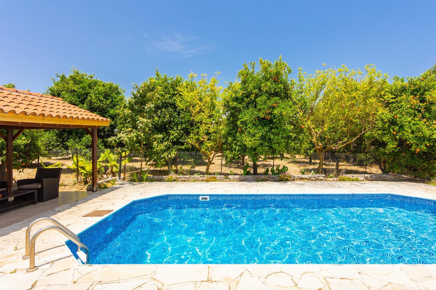 Sun Beach Villa Polis المظهر الخارجي الصورة
